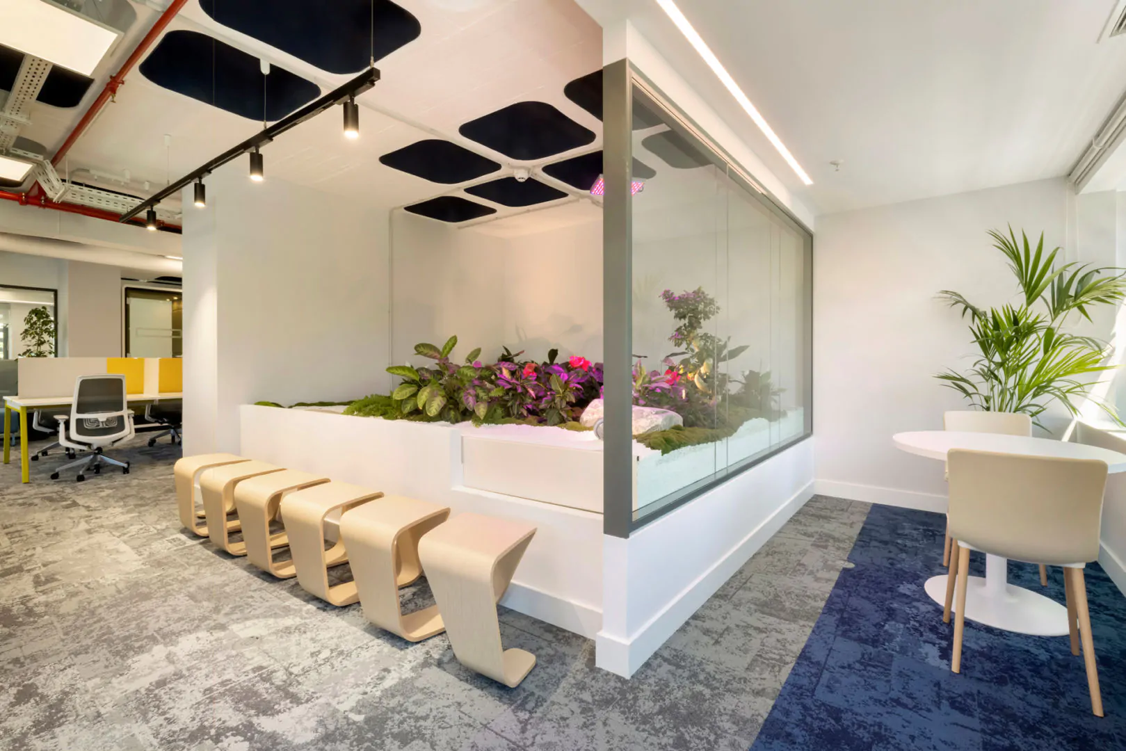 Pharmaceutical Company