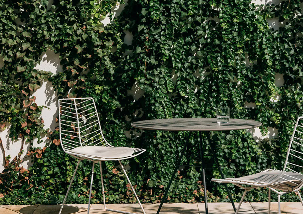 Arper_Leaf_chair+table_ph-SalvaLopez_Collection_1802+1807+1814