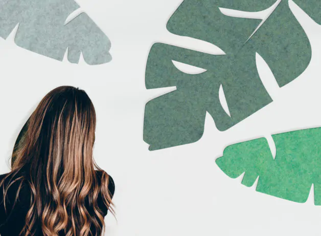 Ηχοαπορροφητικές Επενδύσεις Felt Felt Shape 1